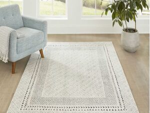 Area Rug Cleaning 8 X 5